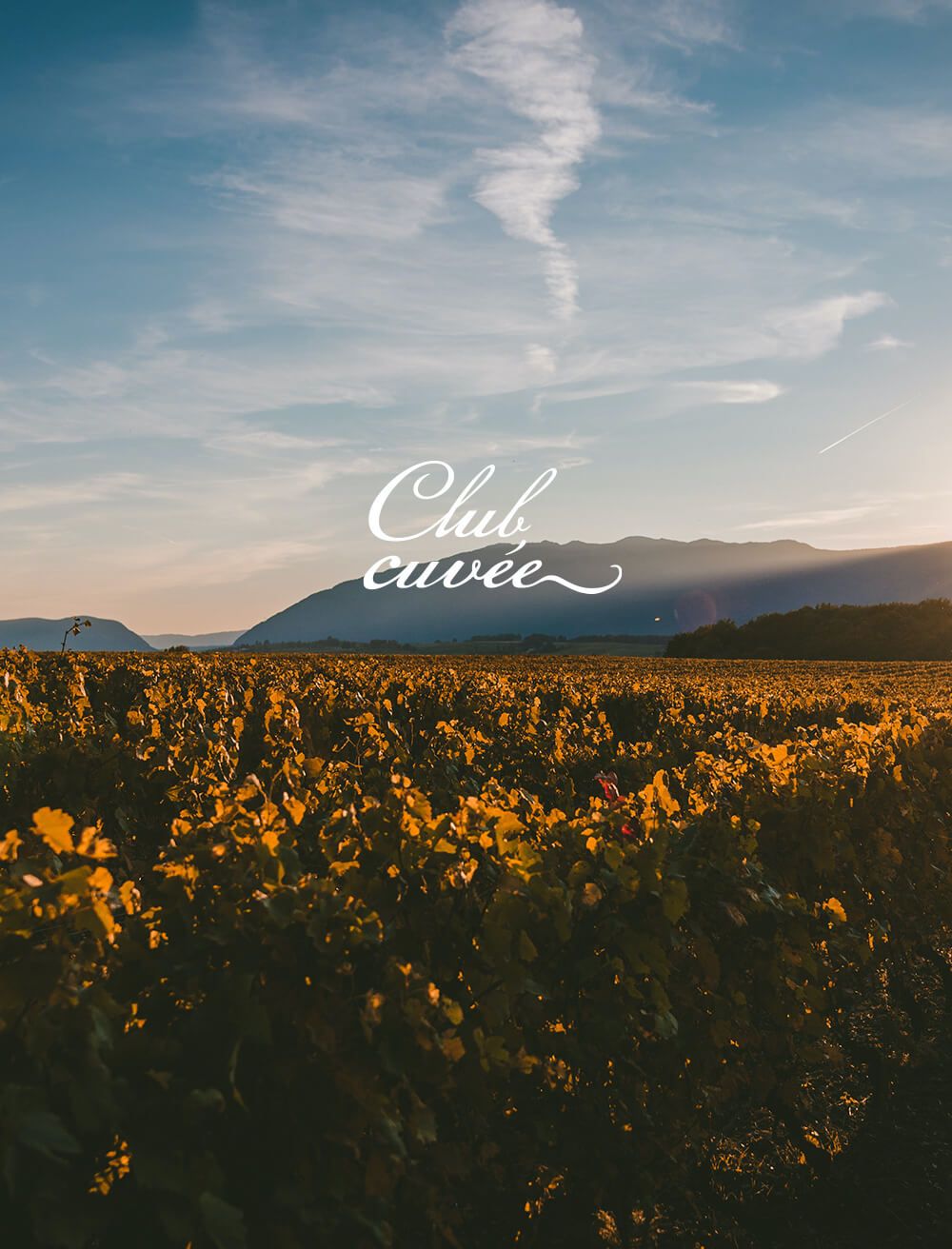 Club Cuvée, el primer ecommerce de Freixenet