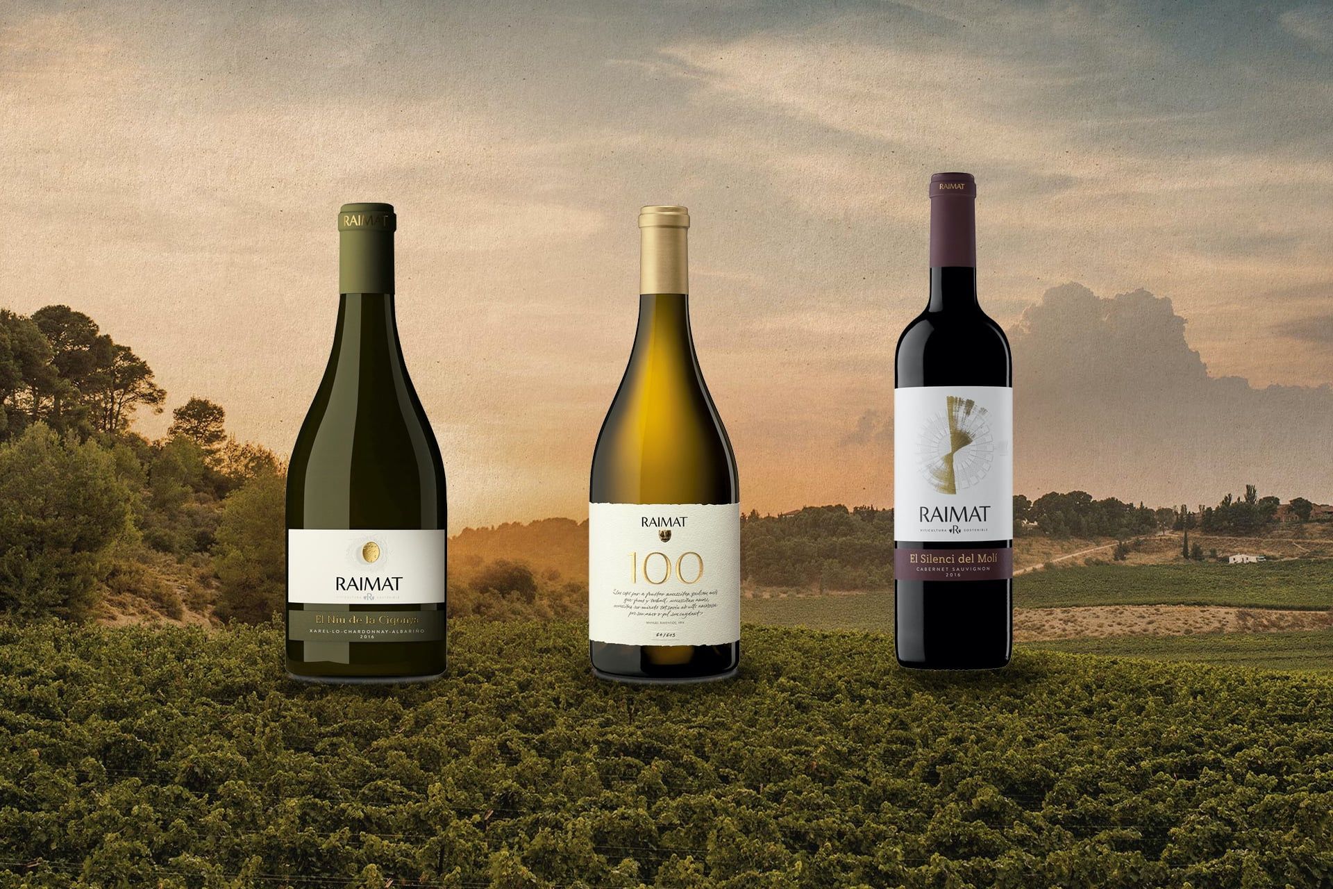 Producción del site Raimat.com