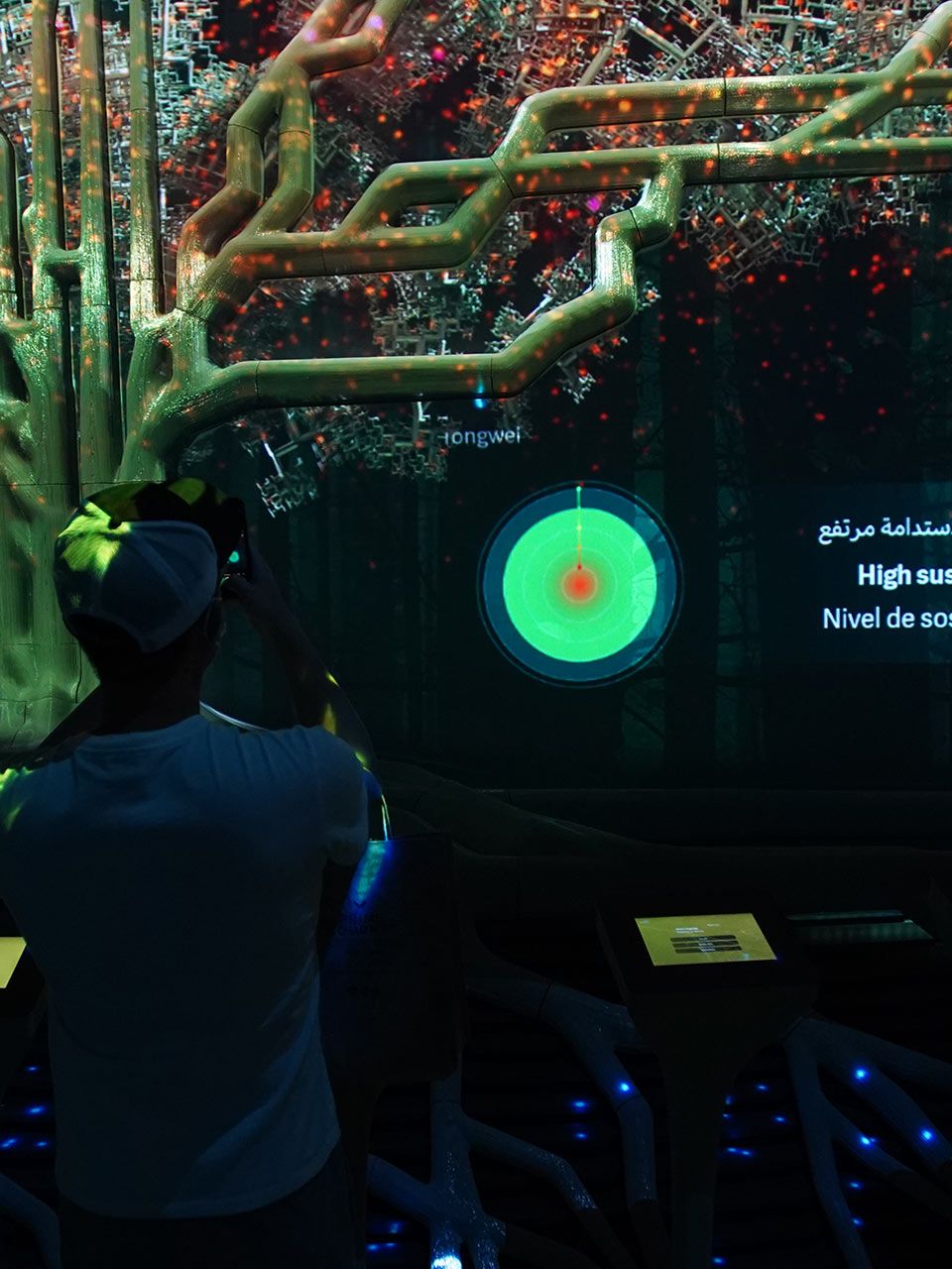 Desarrollo app e instalación interactivos
