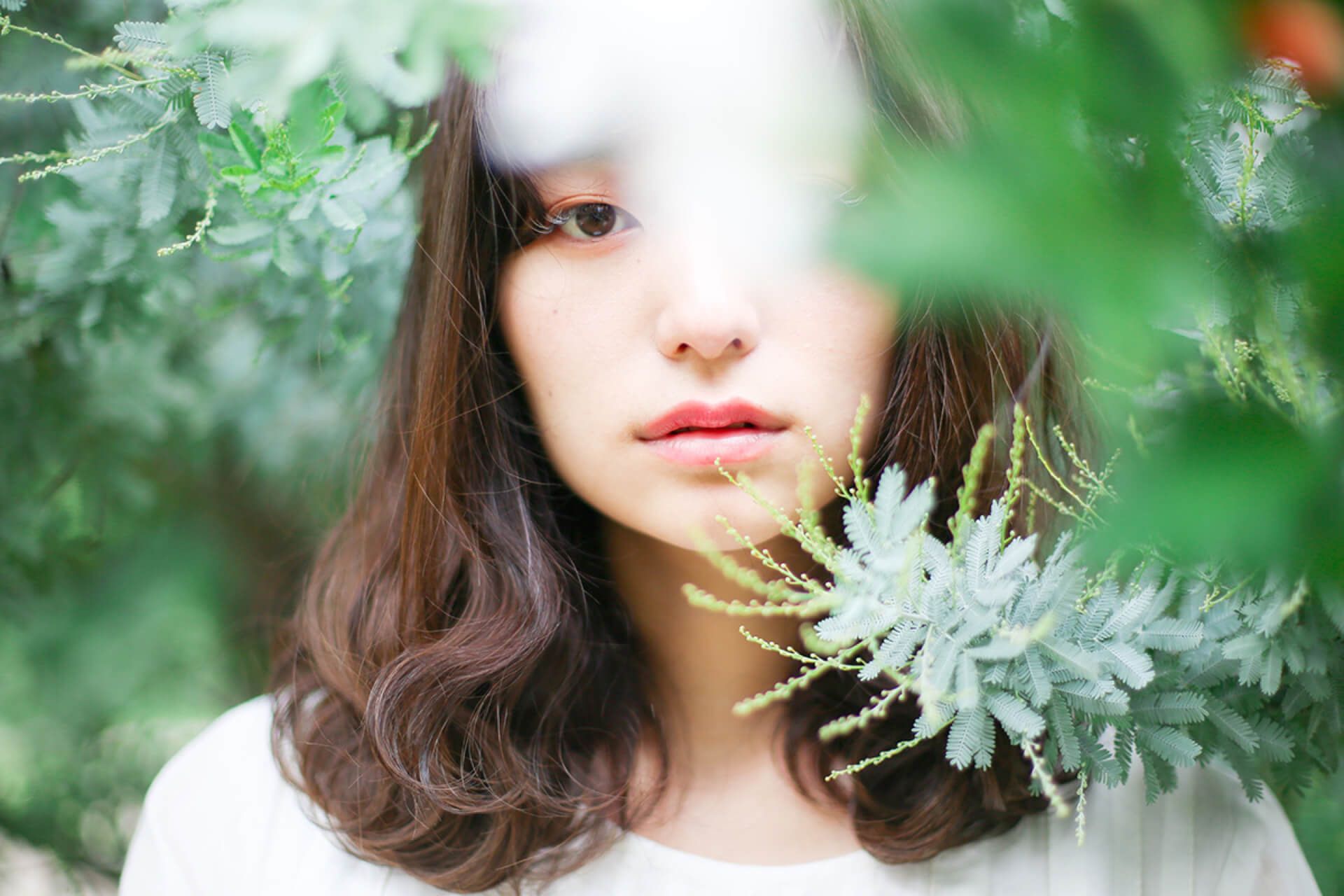 Desarrollo site internacional Kao Chemicals