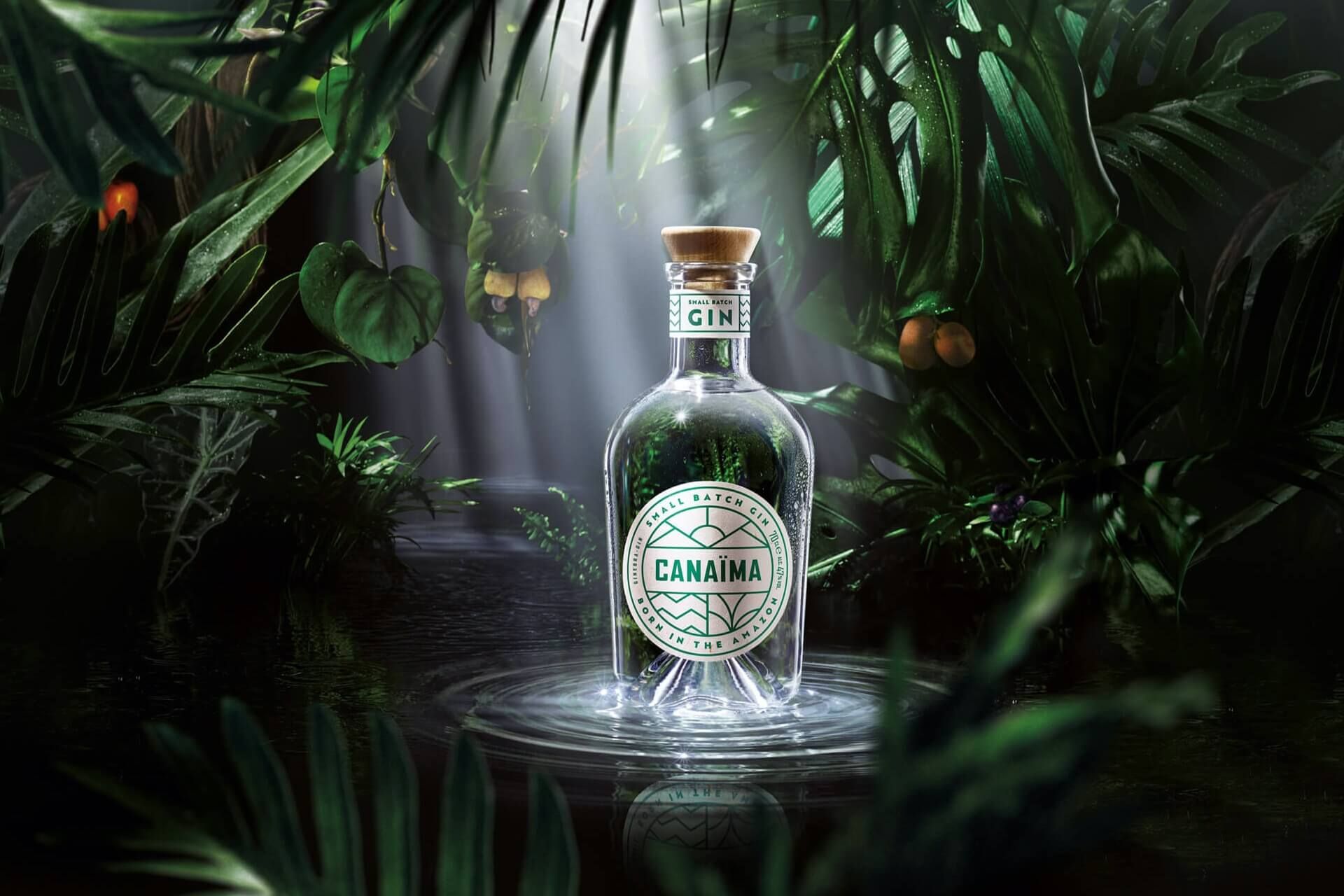 Site para Canaïma Gin