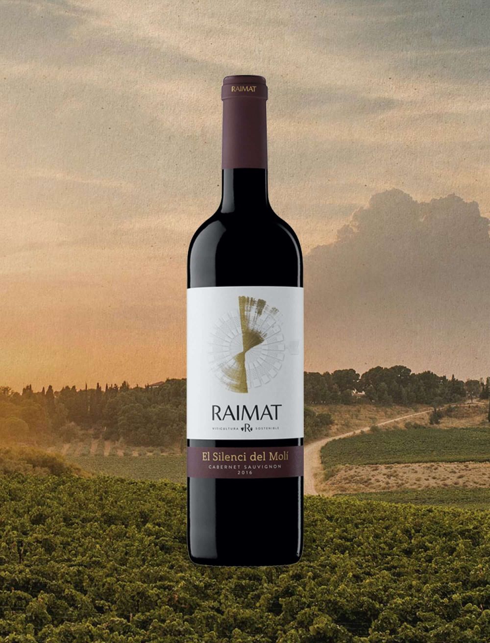 Producción del site Raimat.com