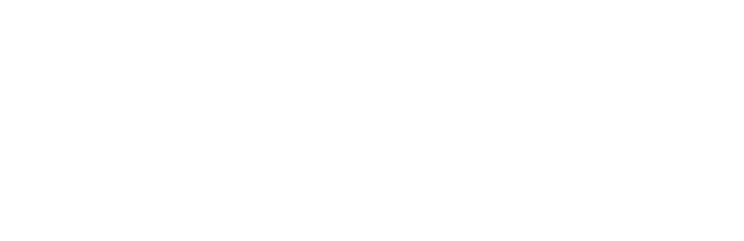 beg-volkswagen2x.png