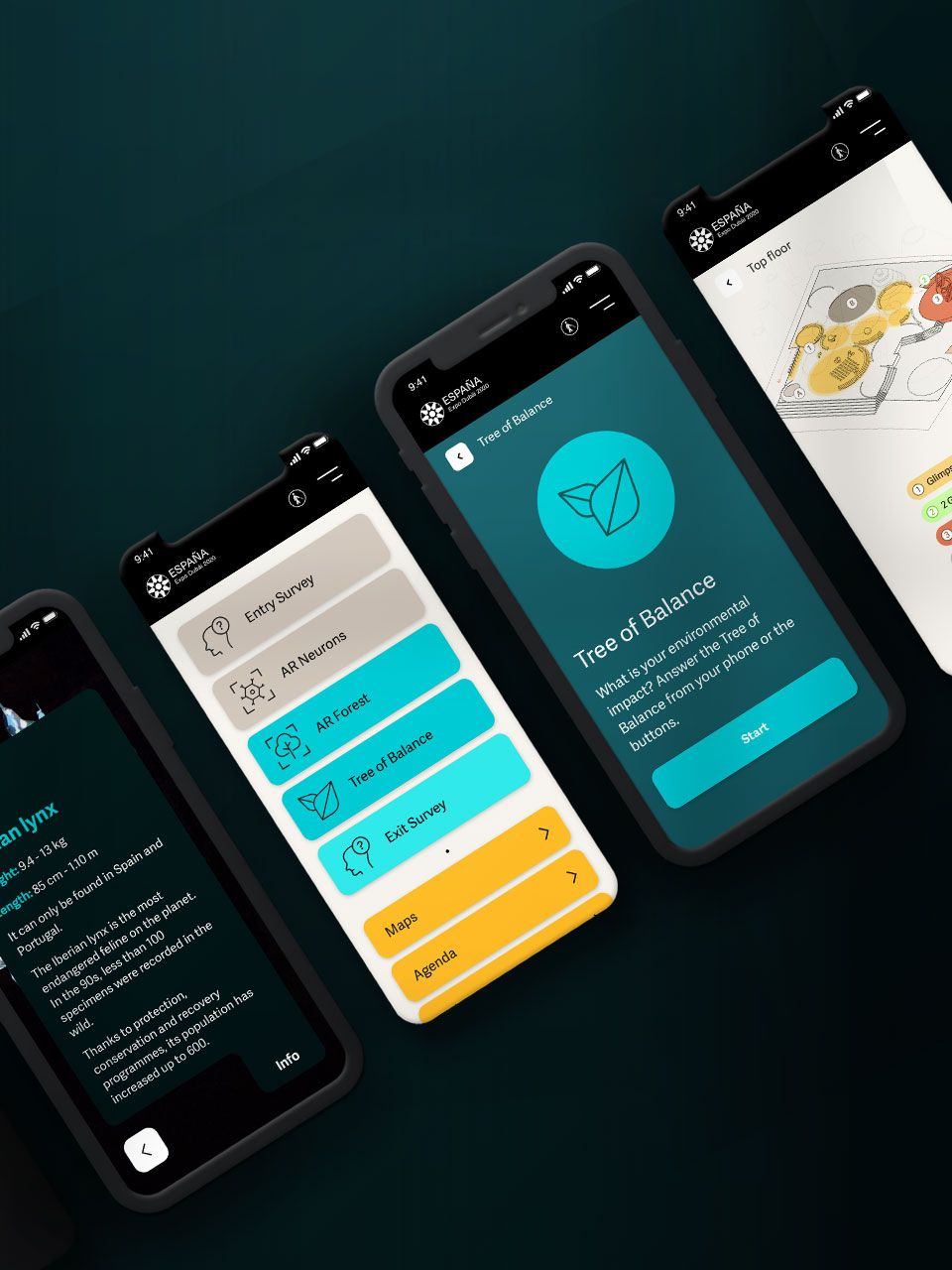 Desarrollo app e instalación interactivos