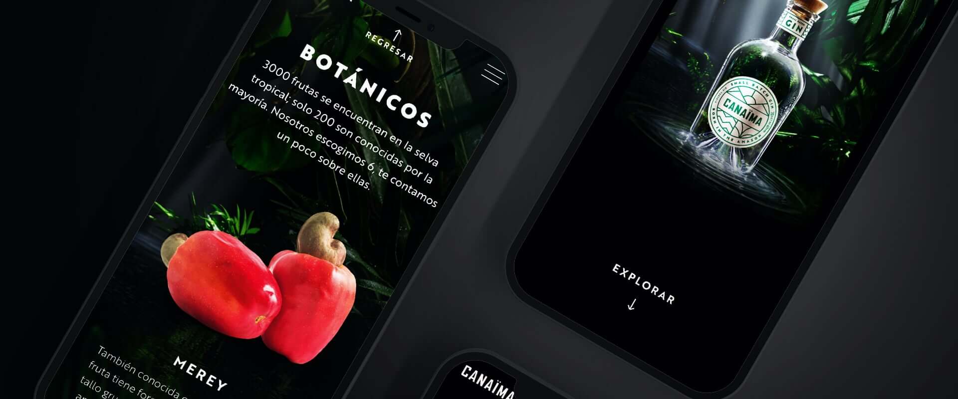 Una ginebra nacida en el Amazonas