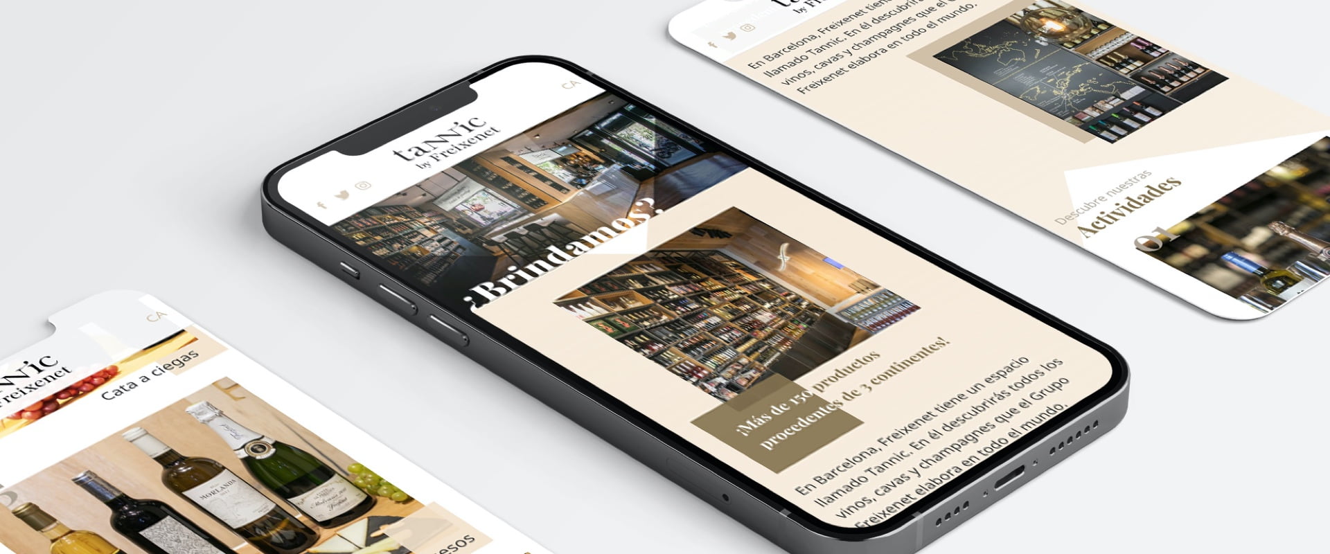 Desarrollo de un site sencillo, pero no simple
