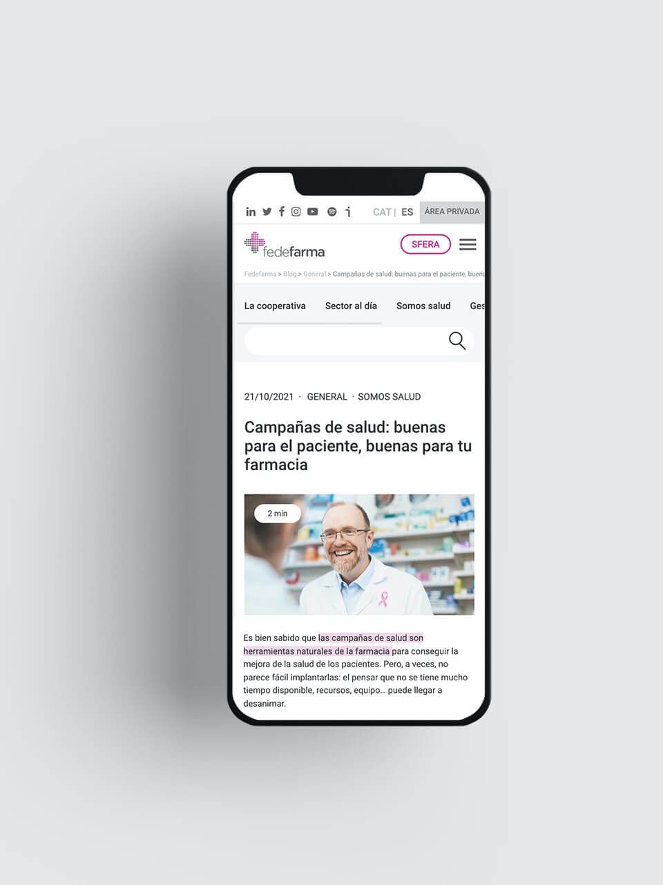 Desarrollo de Wordpress a medida